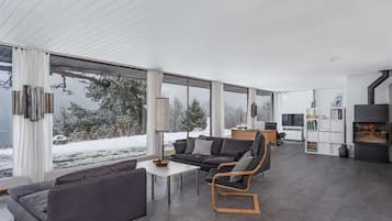 Fernseher, Arbeitsbereiche