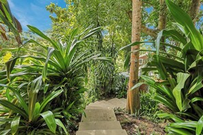Een betonnen pad dat door een weelderige tuin slingert, vol groene planten en bomen.