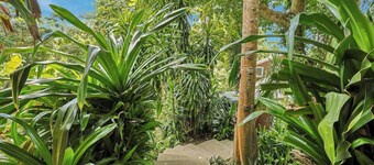 Jungle Retreat! Walk to beach