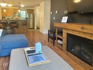 TV connectée, cheminée, lecteur de DVD, livres