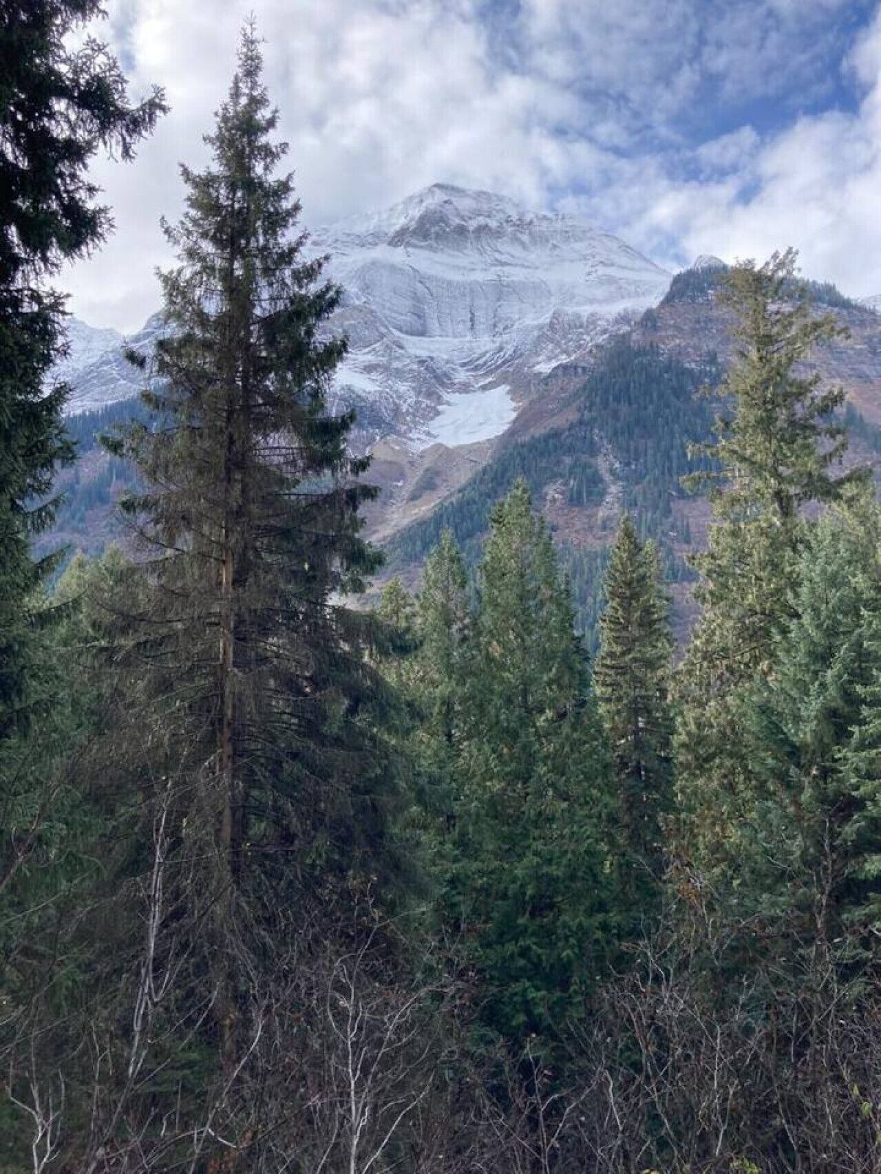 A mountainous landscape with snow-capped peaks and dense forests.