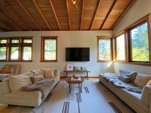 Fernseher, Arbeitsbereiche