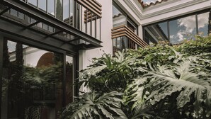Ein modernes Gebäude mit großen Fenstern, einem Balkon und üppigen tropischen Pflanzen.