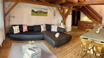 Fernseher, Kamin, BĂŒcher