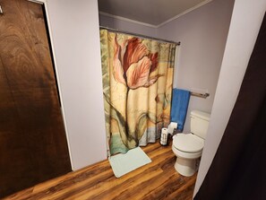 Hair dryer, bidet, towels, soap