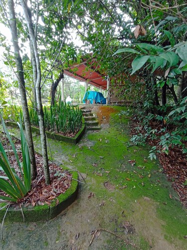 Sítio do Sossego: The Perfect Retreat to Relax and Adventure in Nature! ✨