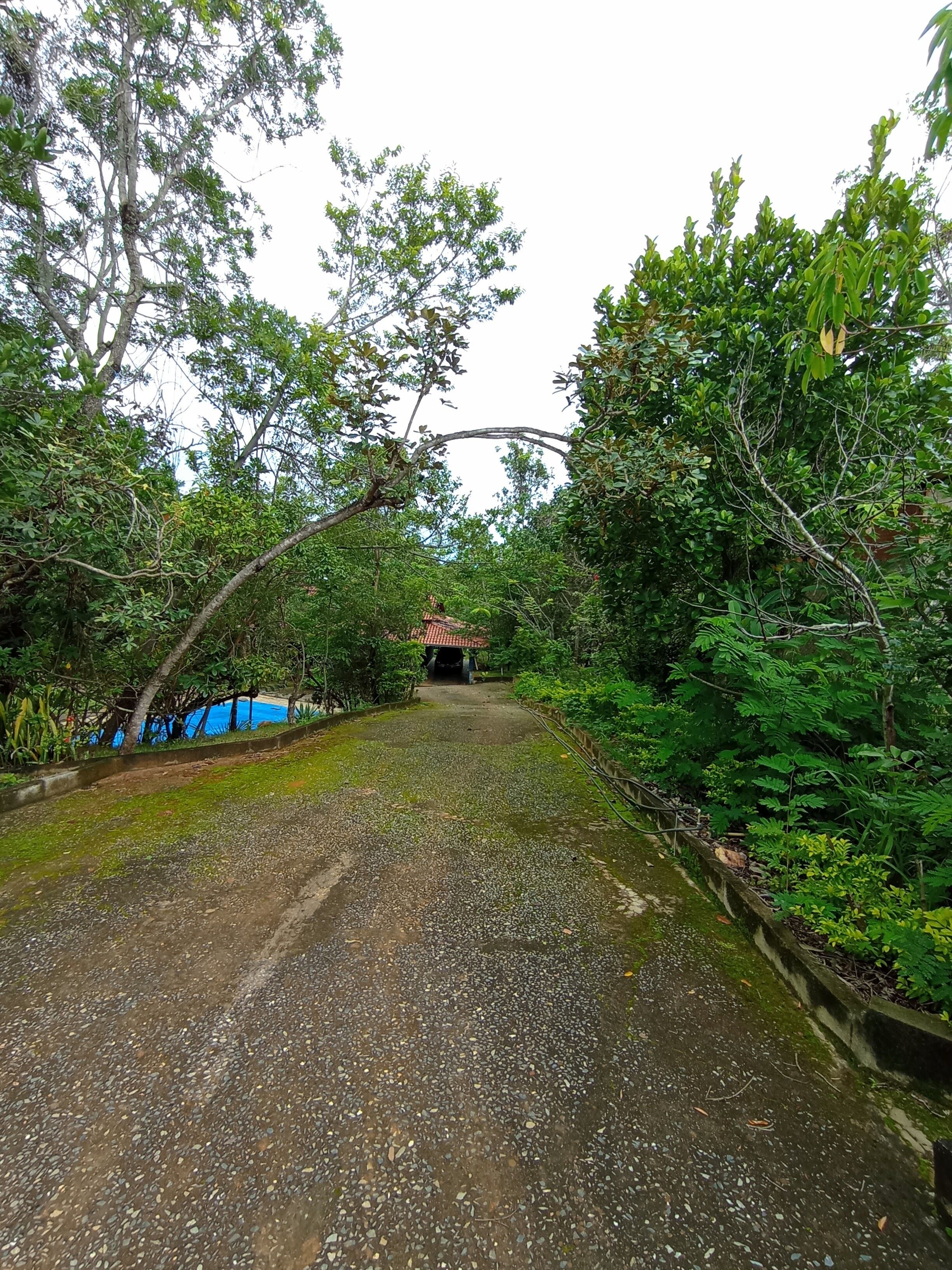 A gravel path leading to a building with a red-tiled roof, surrounded by dense greenery.