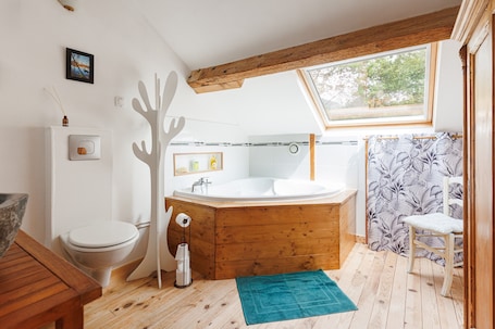 Shower, hair dryer, towels. Holiday Home “La Bastide – Tyrosse” - Conciergerieland