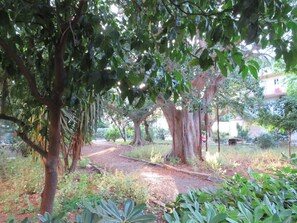 Property grounds - Relaxation in the green- GioDaPi Palm (Palermo)