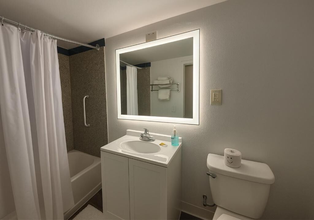 A bathroom with a shower, a sink, a toilet, and a mirror.