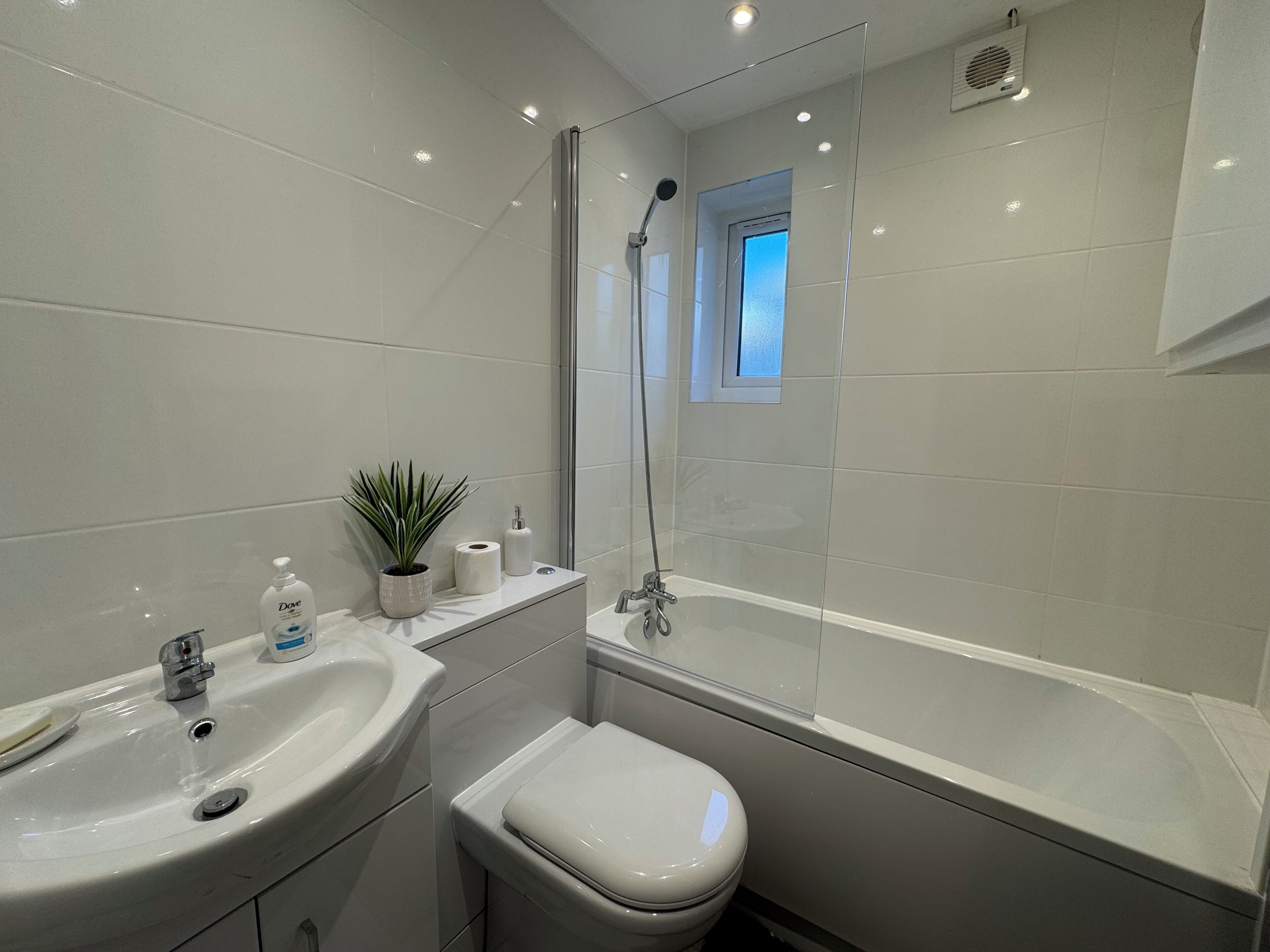 Hair dryer, towels, soap, toilet paper