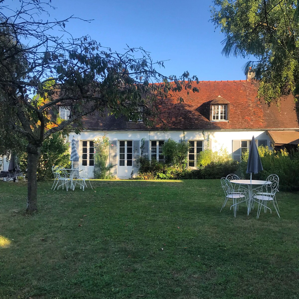 Image de profil de l’hôte