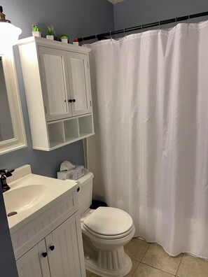 Hair dryer, towels, soap, toilet paper - 3 BR Chantilly Oasis, Pet Friendly, Great Location (Colorado Springs)