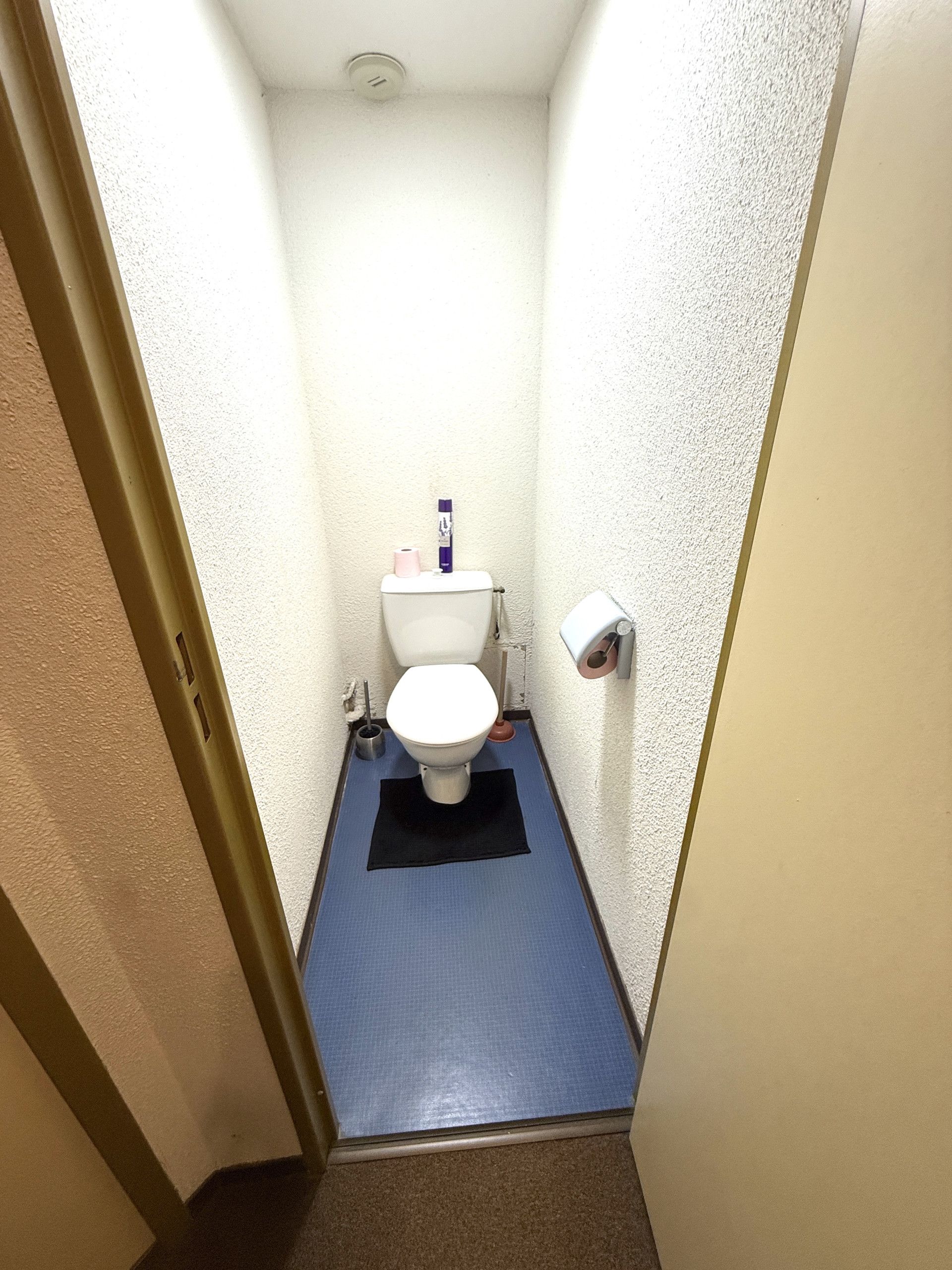 Kapea kylpyhuone, jossa on wc, sininen matto ja seinällä vessapaperirulla.