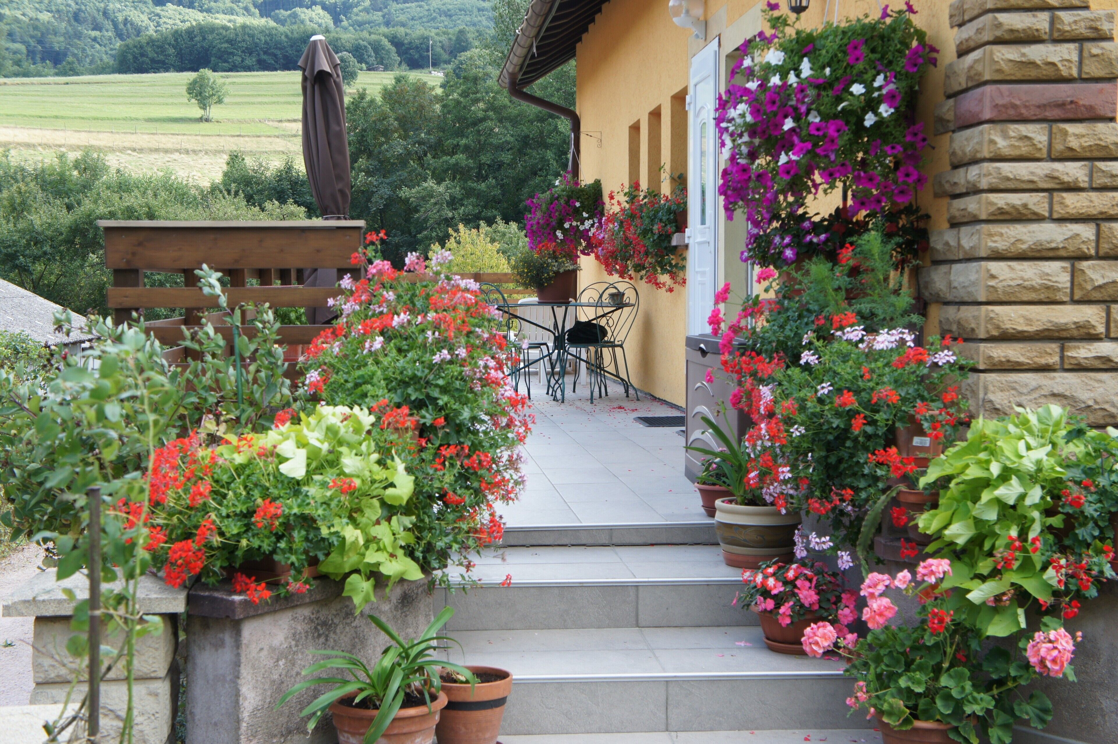 Terrein van de accommodatie