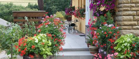 Terrein van de accommodatie