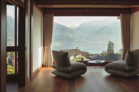 View from property. Habitat Lago Maggiore