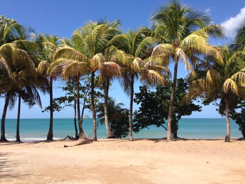 SOUS LES COCOTIERS STUDIO 1 CLIMATISE