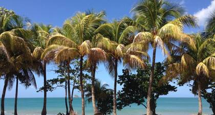 SOUS LES COCOTIERS STUDIO 1 CLIMATISE