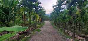 Miscellaneous - Cozy Farm Stay with Green View (Coimbatore)