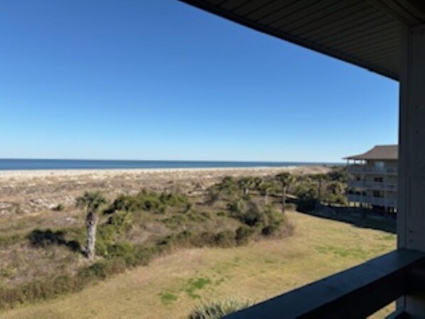 Property grounds - Fantastic beachfront 2-bedroom condo with AC in pleasant Tybee Island (Tybee Island)