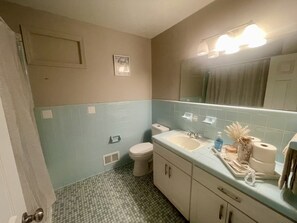 Shower, hair dryer, soap, toilet paper