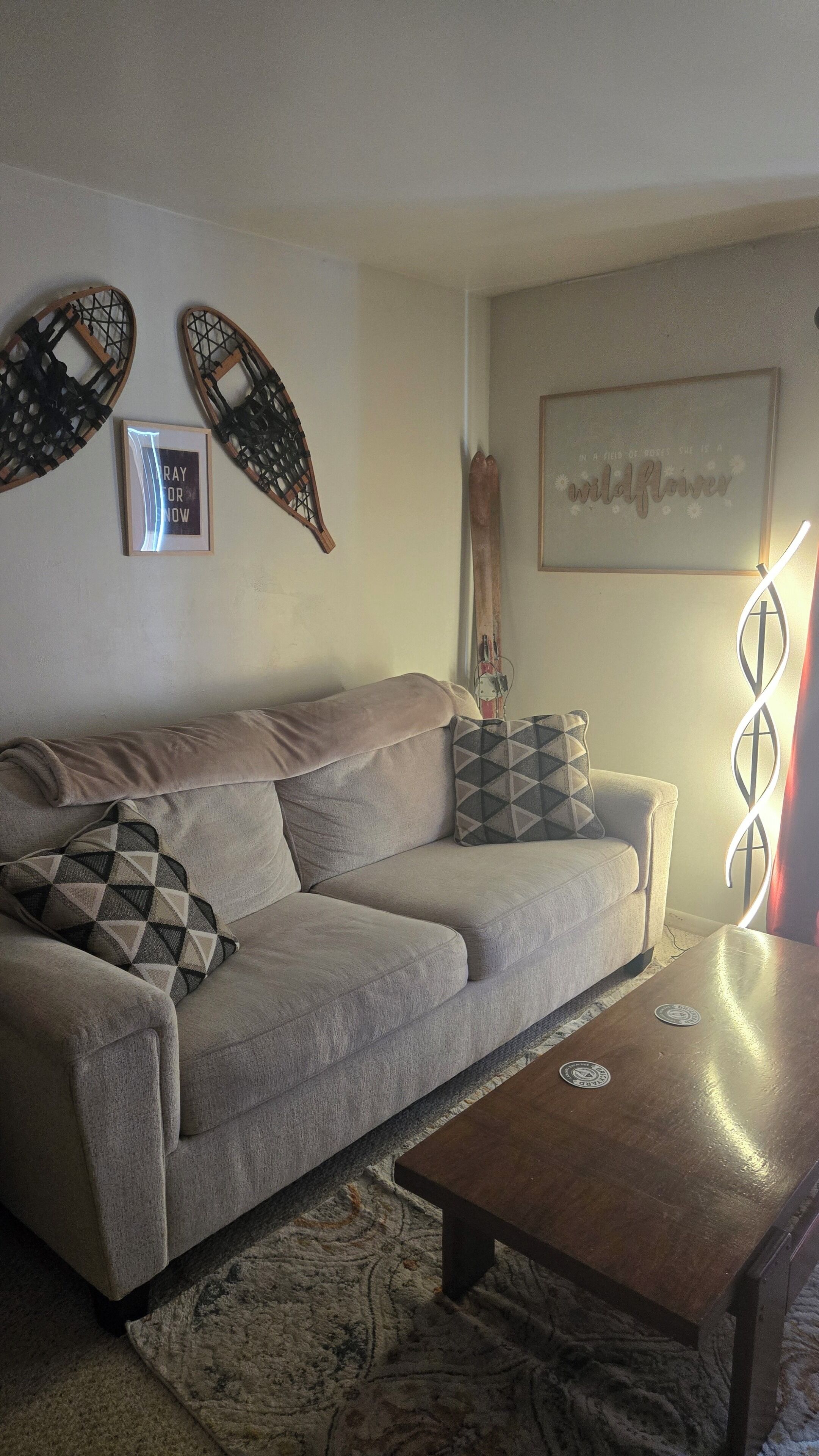 智能电视、壁炉、DVD 播放器、立体声音响