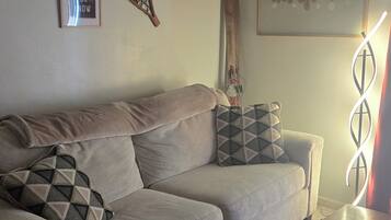 Smart TV, chimenea, reproductor de DVD y estéreo