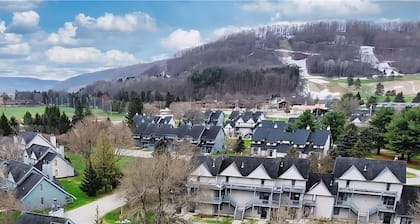 Mountain Views Studio in Ellicottville, NY