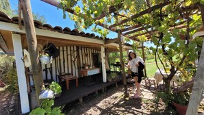 Un espace extérieur aménagé dans un style rustique, avec une pergola, des tables et des chaises en bois, le tout entouré de verdure et d’un jardin.