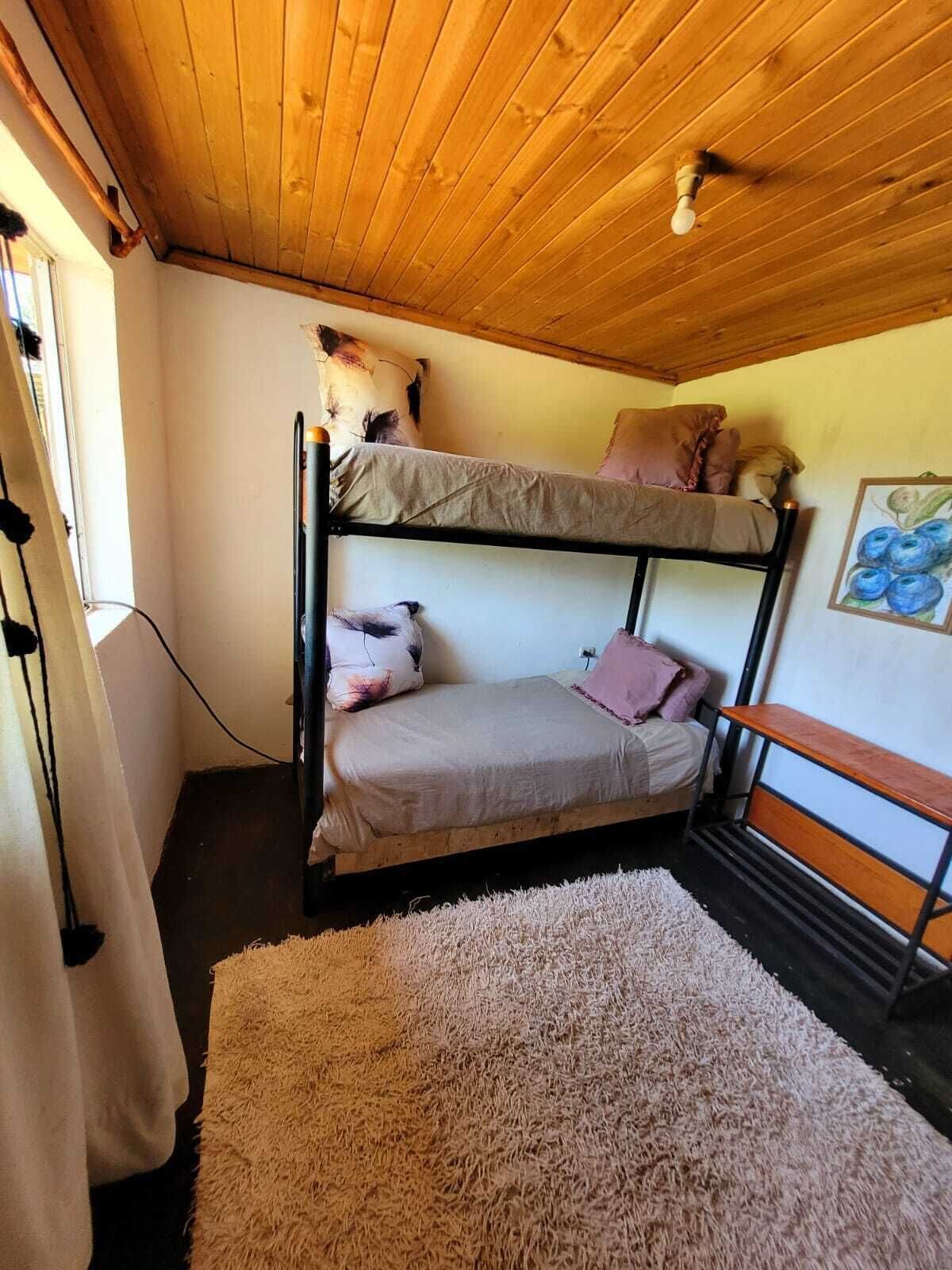 Habitación con literas, techo de madera y un tapete mullido en el suelo.