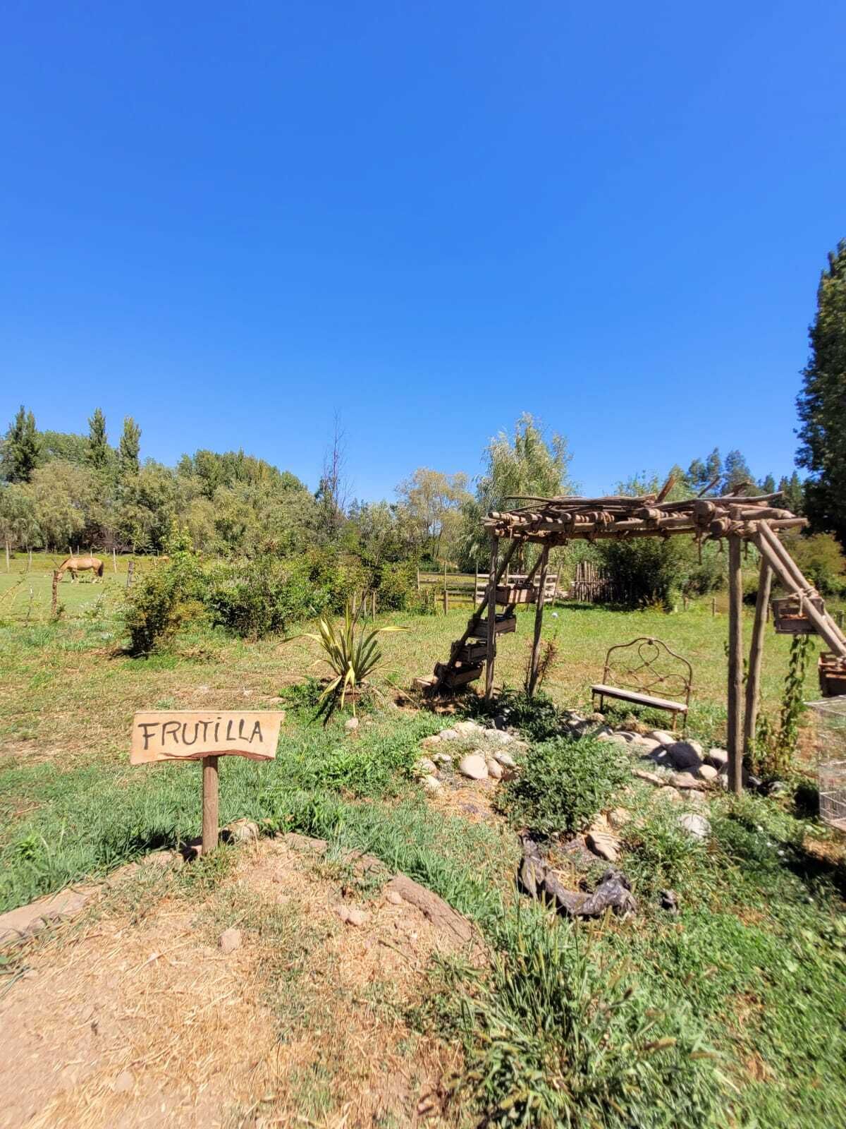 A rustic outdoor area with a wooden sign labeled "FRUTILLA" and a wooden structure resembling a pergola.