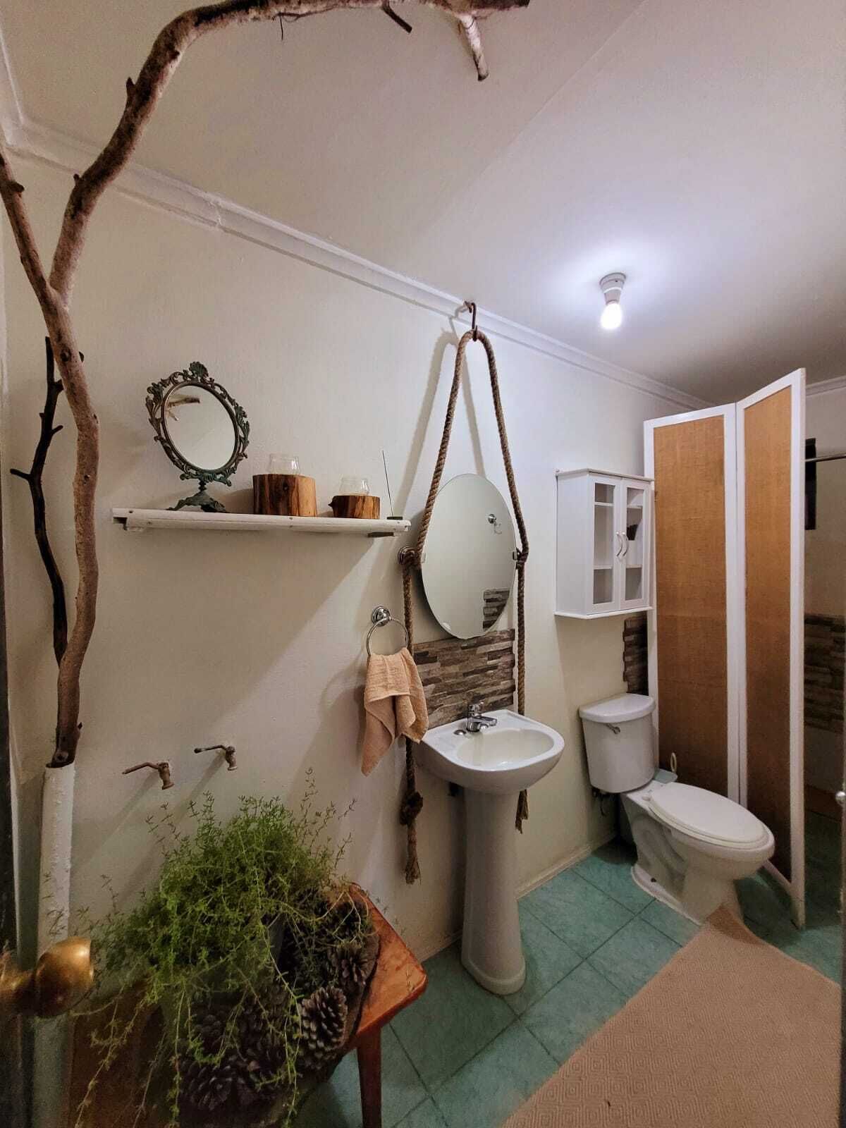 A bathroom with a pedestal sink, a toilet, a mirror, and a shelf with toiletries.