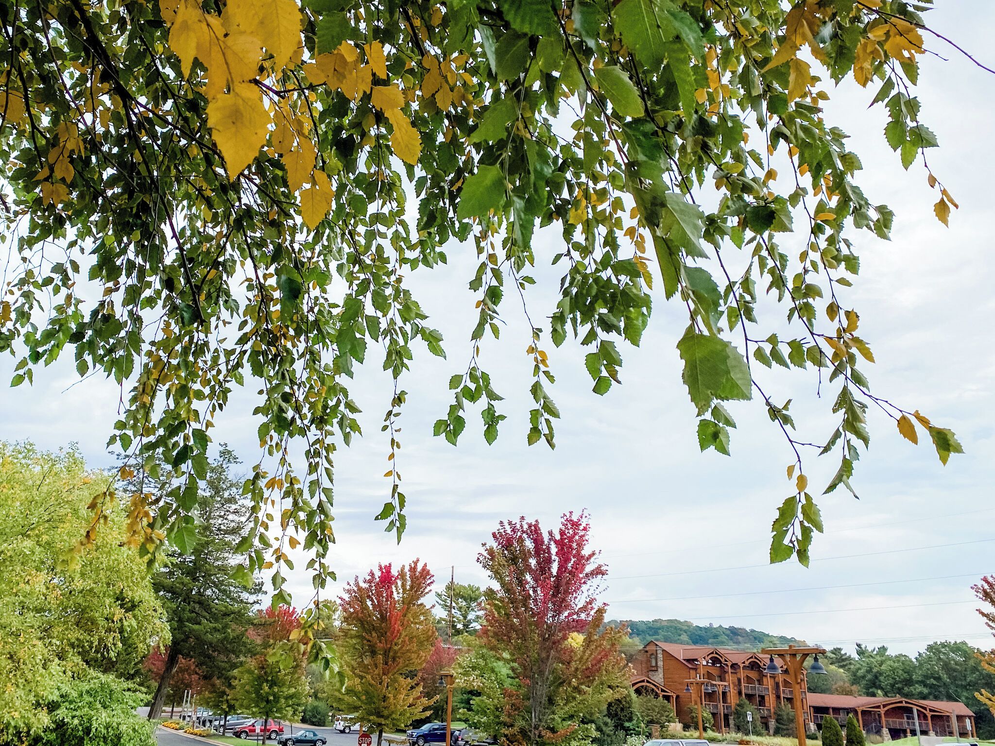 A building with a traditional architectural style, surrounded by trees with autumn foliage.