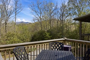 Outdoor dining - Secluded Franklin Cabin with Mountain Views (Franklin)