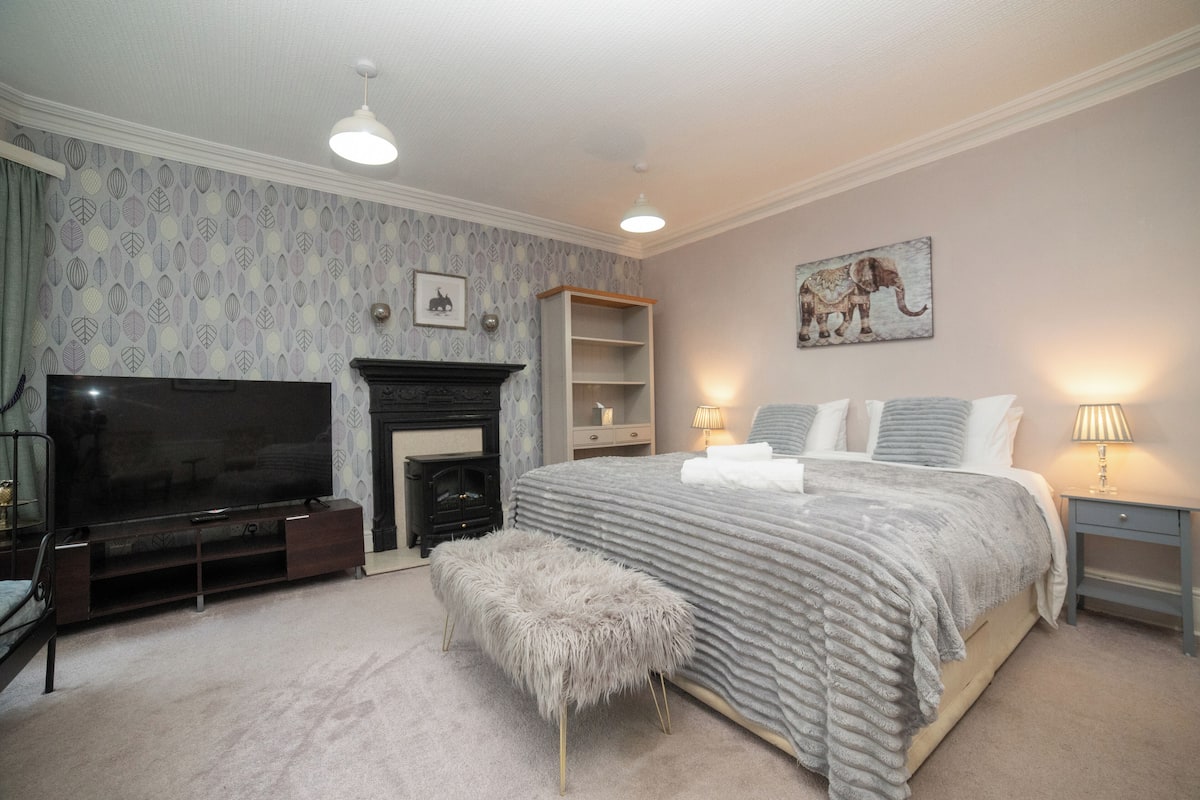 A bedroom with a large bed, a television, a fireplace, and a bookshelf.