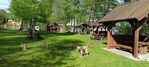 Trailer clássico, vista para o lago | Opções para refeição ao ar livre