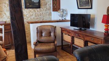 Télévision, cheminée, livres