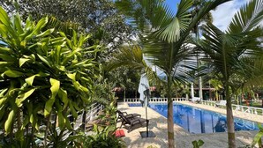 A pool area with a clear blue pool, surrounded by palm trees and potted plants. - Eco Hotel Green Eden  (Pereira)