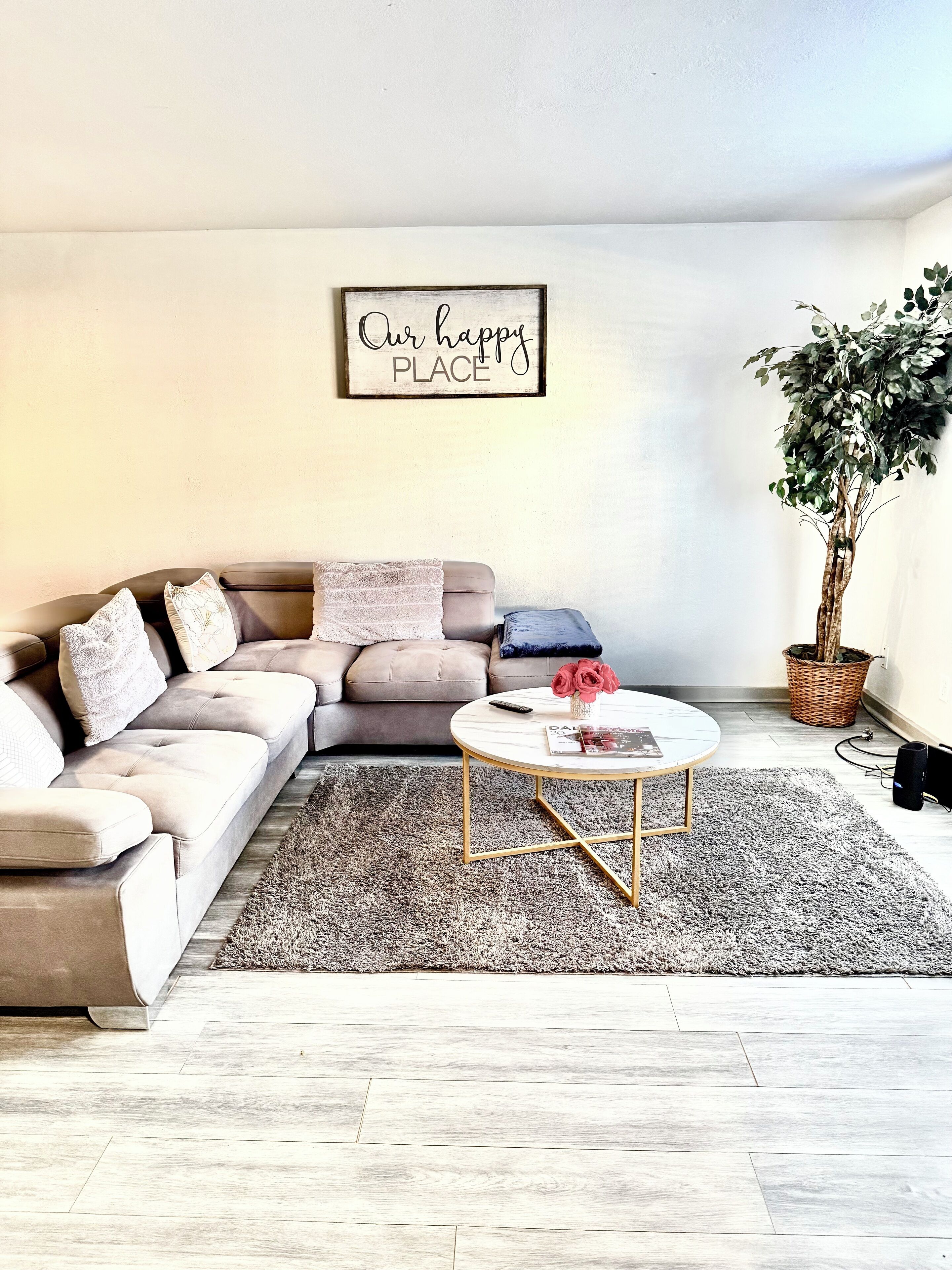 Älytelevisio, kirjoja