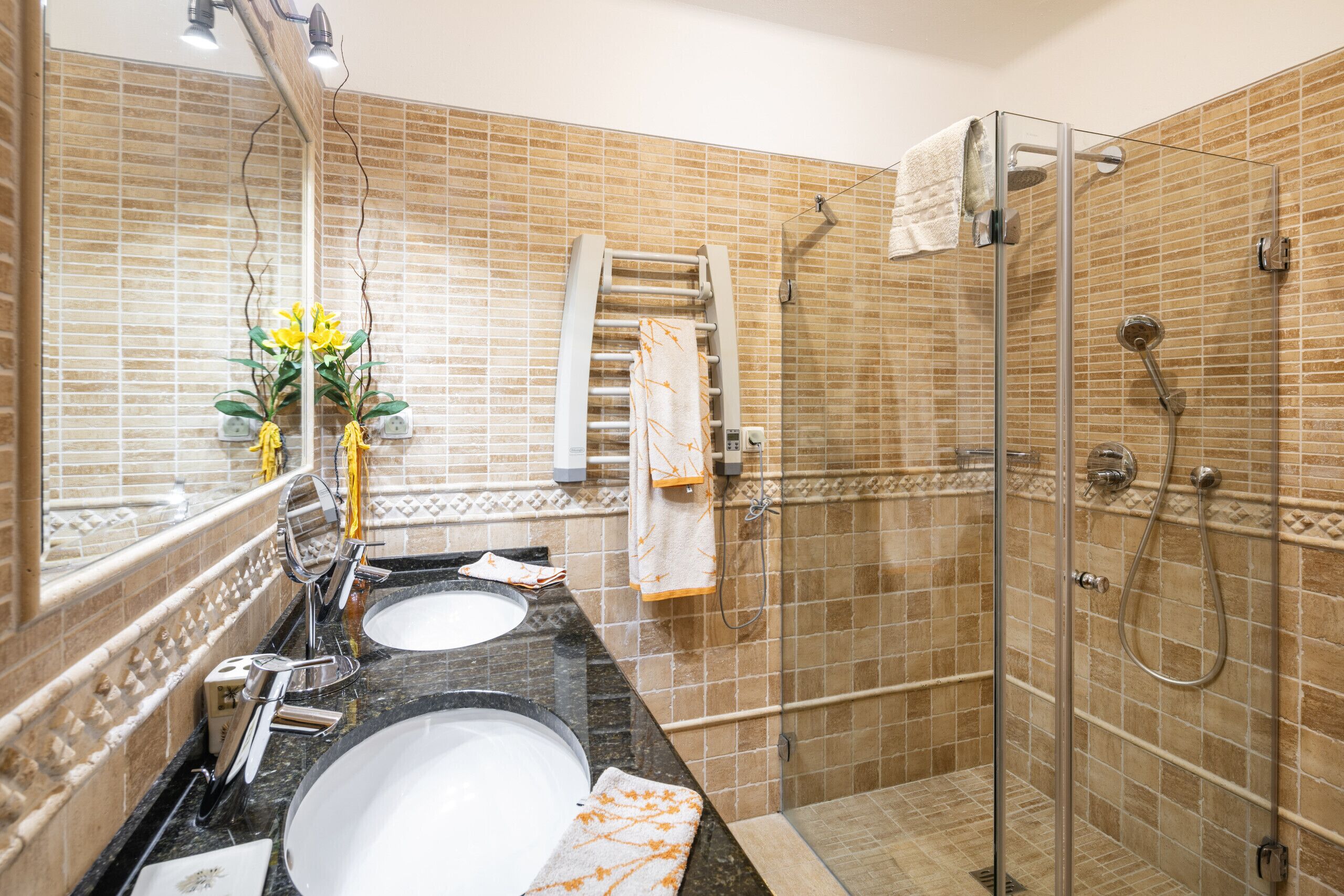 Shower, hair dryer, bidet, towels