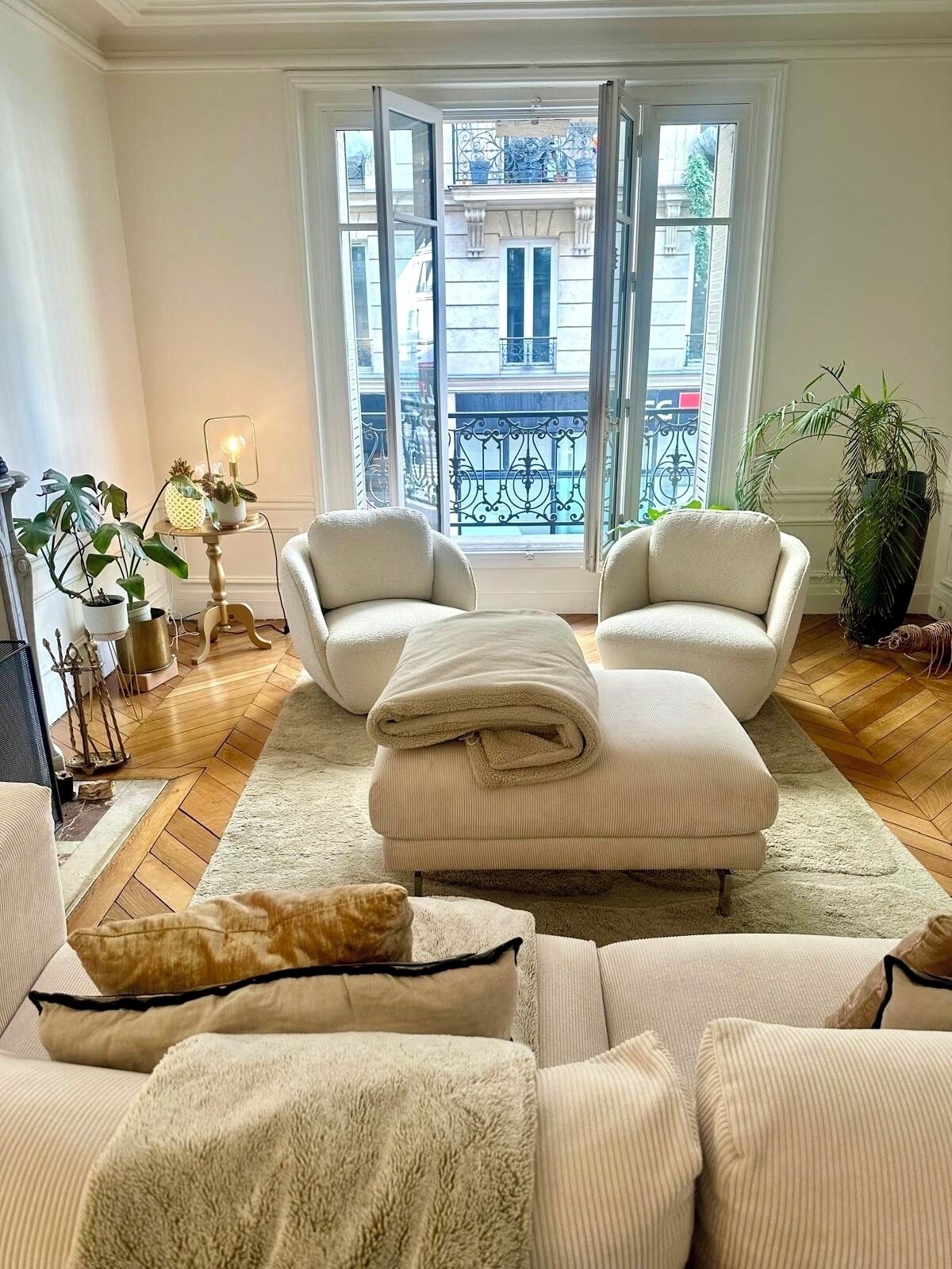 TV connectée, cheminée, livres, vidéothèque