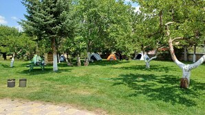 Um camping com tendas, mesas de piquenique e árvores.
