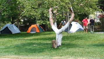 Terrein van de accommodatie