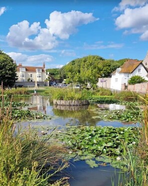 Property grounds - Luxurious home in Rottingdean by the sea (Brighton)