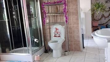 Shower, hair dryer, towels, toilet paper