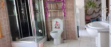 Regadera, secadora de cabello, toallas, papel de baño