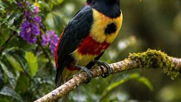 A bird perched on a branch with purple flowers in the background.