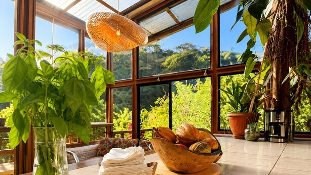 A table with a bowl of bread, a vase with green plants, and a coffee maker.