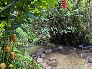 Garden - Casa Colibri Chirripo (Rivas)